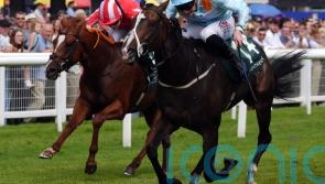 Rod Millman’s bargain buy Anthelia bags another big prize
