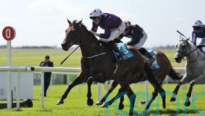 Adrian Murray’s sprinting aces face off in Flying Five