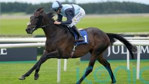 Al Riffa aiming to head to Melbourne on a high in Leger