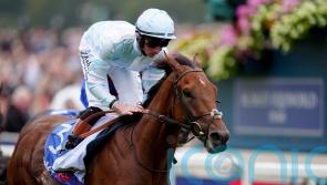 All systems go for Pride Of Arras and Champions Day