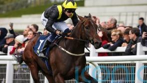 Alparslan much the best for Karl Burke in Curragh sales race