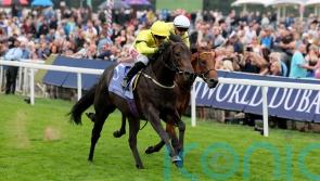 Lifeplan put away with Classic campaign in mind