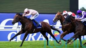 Cicero’s Gift lands Sandown Fortune for Charlie Hills