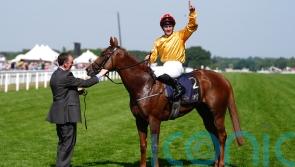 Breeders’ Cup enters the equation for Cercene