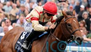 Ain’t Nobody captains Kevin Ryan’s Ayr Gold Cup team