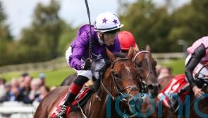 Arizona Blaze could take direct route to Breeders’ Cup