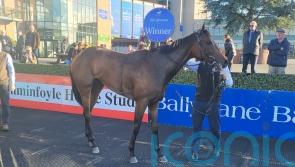 Yaupon De Replay sparks Breeders’ Cup hopes with debut win