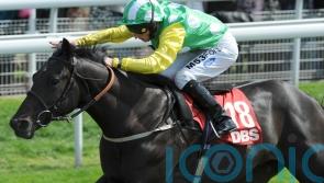 Stallion giant Wootton Bassett dies aged 17