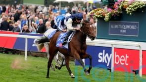 Hopes high for ‘ultimate professional’ Royal Fixation in Cheveley Park