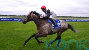 Lion’s Pride produces 20-1 surprise in Godolphin Stakes