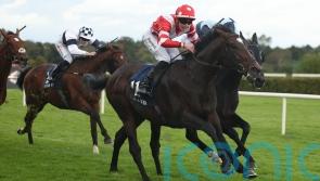 Donnacha O’Brien confident Happy Pharoah can shine in Irish Cesarewitch