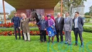 Hawk Mountain stars in Beresford Stakes at the Curragh