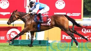 Ferland not feeling the pressure with Arc angel Aventure