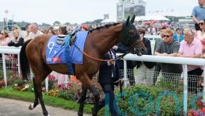 Foret run could provide Maranoa Charlie’s career finale