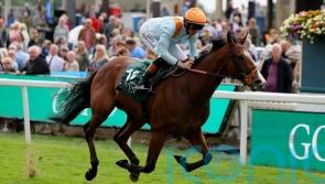 Song seeking another big payday at Redcar