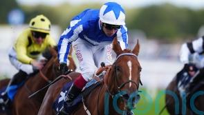 Revival Power and Brussels all set for Cornwallis cracker