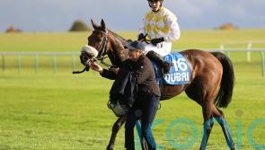 Alphonse Le Grande back at Newmarket after last year’s Cesarewitch drama