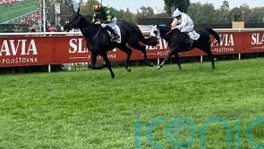 Cheltenham Festival repeat a priority for Pardubicka hero Stumptown