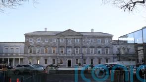 TDs’ and senators’ hearing to be tested in Leinster House by charity