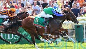 No Breeders’ Cup run for retiring Diego Velazquez