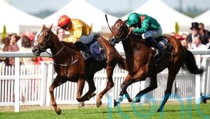 Cercene to return next year as Breeders’ Cup bid ruled out