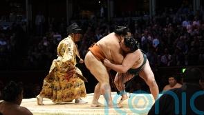 Sumo wrestling returns to London at a sold out Royal Albert Hall