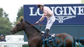 Cicero’s Gift stuns QEII field with 100-1 win