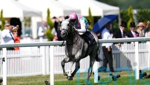 Gosden feels layoff quelled Field Of Gold&rsquo;s QEII bid
