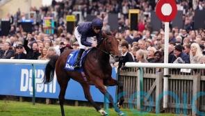 Pierre Bonnard completes Saint-Cloud double for O’Brien