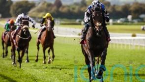 Al Riffa team in confident mood ahead of Cup run