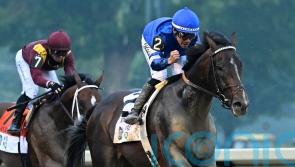 Mott forced to rule out Classic bid for favourite Sovereignty