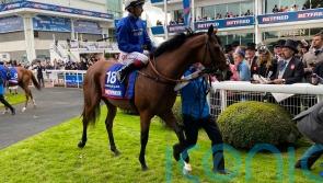 Tornado Alert out to take Bahrain by storm