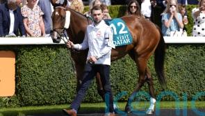 Jack Davison announces death of star sprinter She&rsquo;s Quality