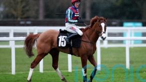 ‘Small setback’ delays reappearance of Windbeneathmywings