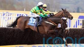 Festival hero Jagwar to return in Paddy Power Gold Cup