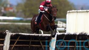 Brighterdaysahead poised to make fencing bow next week