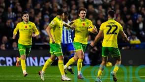 Norwich end six-match losing run with draw at Sheffield Wednesday