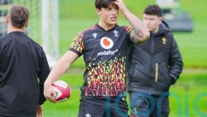 Louis Rees-Zammit named among replacements for Wales return against Argentina