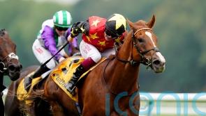 Haggas hopes Montassib has plenty in his favour in Wentworth