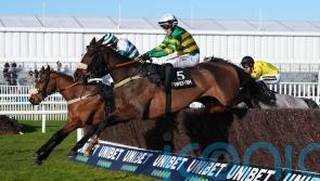 Ground conditions put paid to Jagwar’s Cheltenham bid