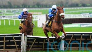 Triumph Trial turns into One Horse affair at Cheltenham