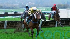 Lavender Hill Mob stars with 33-1 Cheltenham surprise