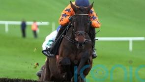 ‘Fantastic’ Final Demand looks the part on fencing bow at Navan