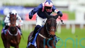 Kopek Des Bordes dazzles on Navan chasing bow