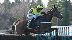 Lulamba makes perfect chase start at Exeter