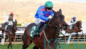 Wodhooh and company promise to make Ascot Hurdle informative