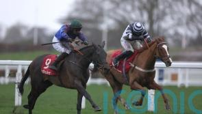 Wodhooh obliges for Elliott in Ascot Hurdle