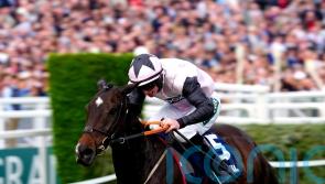 Elliott reports Gerri Colombe on the comeback trail