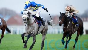 Kandoo Kid might have this season off, says Nicholls