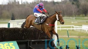 Mr Vango to get taste of National fences this weekend